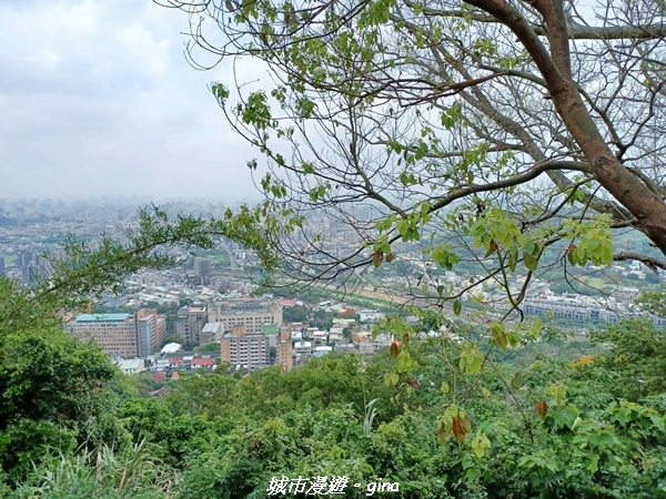 20230520_113915.jpg 20230520_113915.jpg