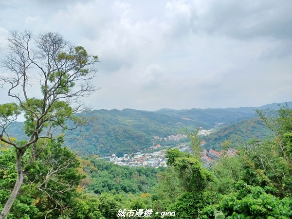 20230520_114845.jpg 20230520_114845.jpg