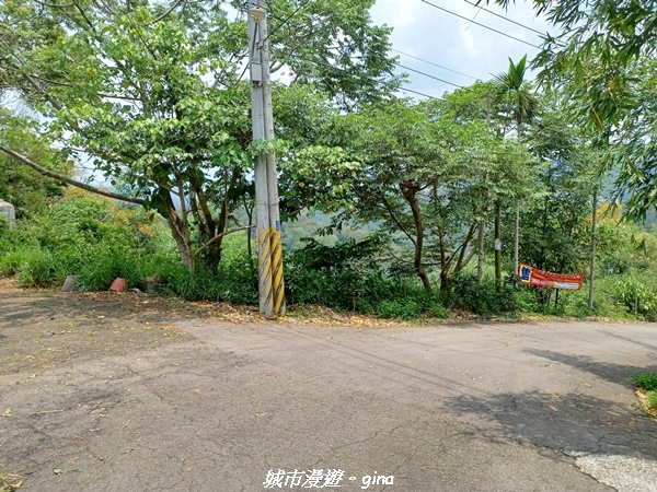 20230520_121507.jpg 20230520_121507.jpg