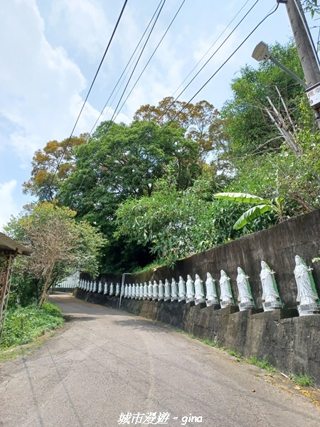 20230520_121441.jpg 20230520_121441.jpg