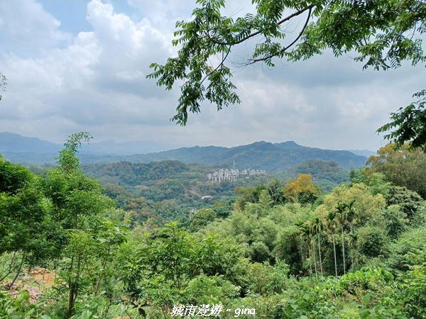 20230520_121528.jpg 20230520_121528.jpg