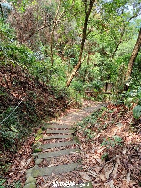 20230520_121800.jpg 20230520_121800.jpg