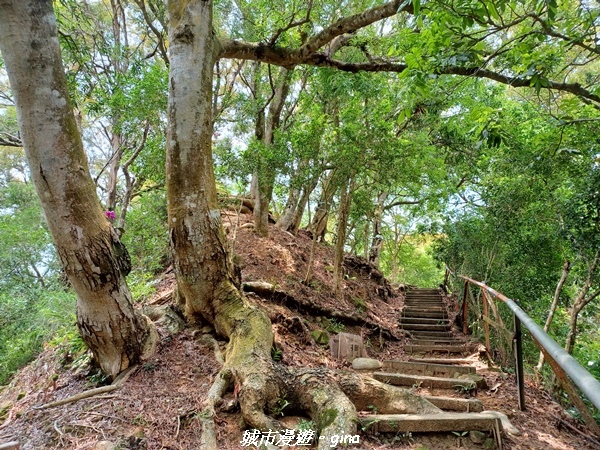 20230520_121912.jpg 20230520_121912.jpg