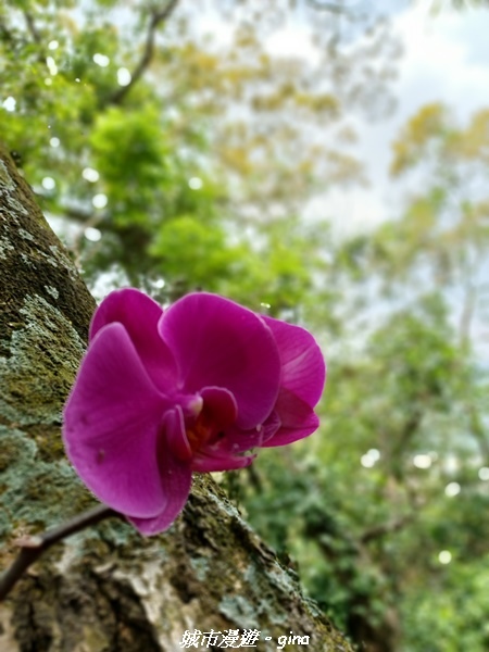 20230520_121942.jpg 20230520_121942.jpg