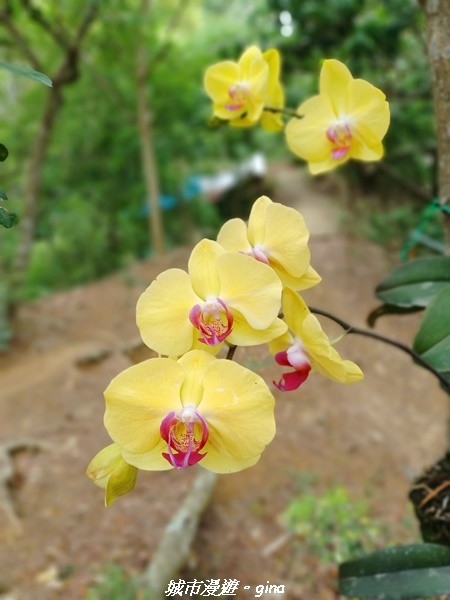 20230520_122126.jpg 20230520_122126.jpg