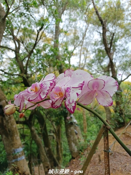 20230520_122106.jpg 20230520_122106.jpg