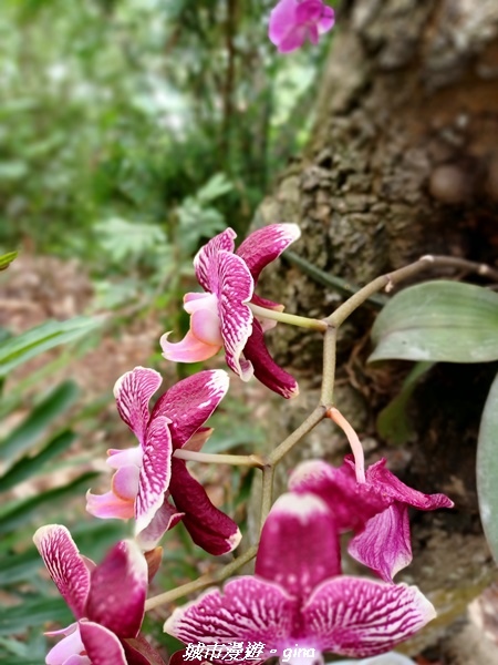 20230520_122146.jpg 20230520_122146.jpg