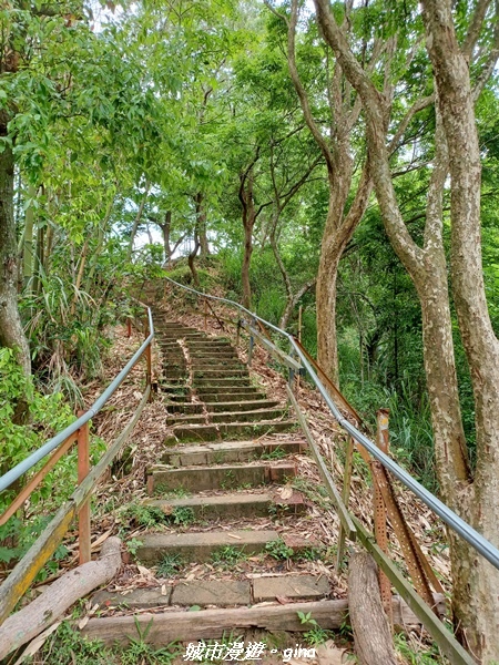 20230520_122400.jpg 20230520_122400.jpg