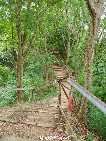 20230520_122500.jpg 20230520_122500.jpg