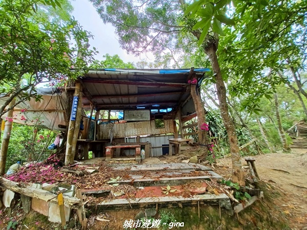 20230520_122712.jpg 20230520_122712.jpg