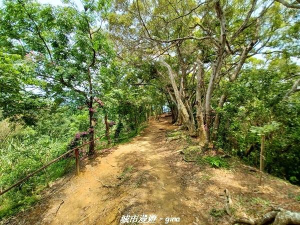 20230520_122828.jpg 20230520_122828.jpg