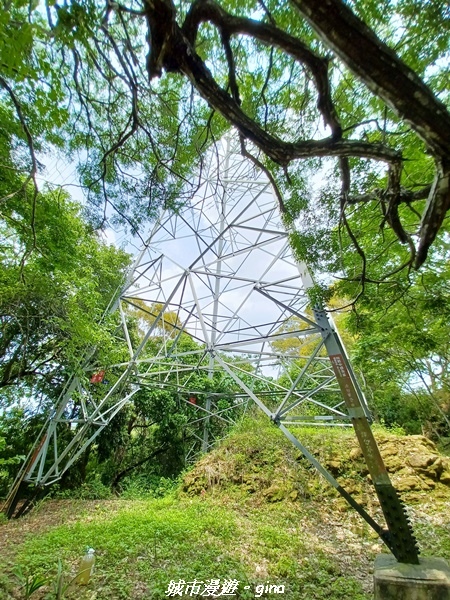 20230520_123656.jpg 20230520_123656.jpg