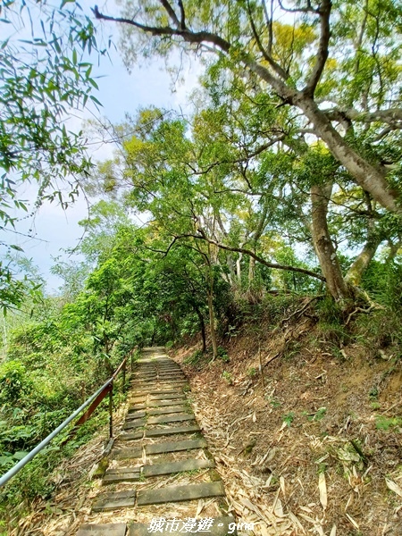 20230520_123806.jpg 20230520_123806.jpg