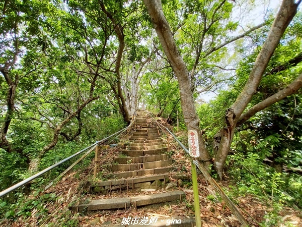 20230520_123500.jpg 20230520_123500.jpg