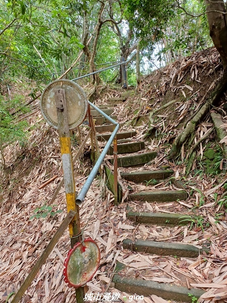 20230520_124038.jpg 20230520_124038.jpg