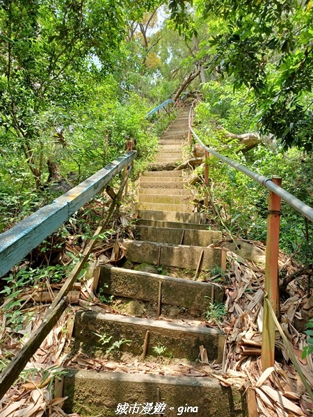 20230520_124210.jpg 20230520_124210.jpg