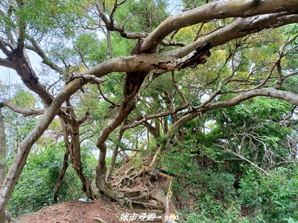 20230520_124352.jpg 20230520_124352.jpg