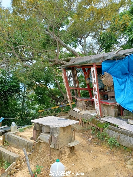 20230520_124548.jpg 20230520_124548.jpg