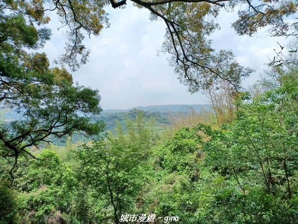 20230520_124826.jpg 20230520_124826.jpg