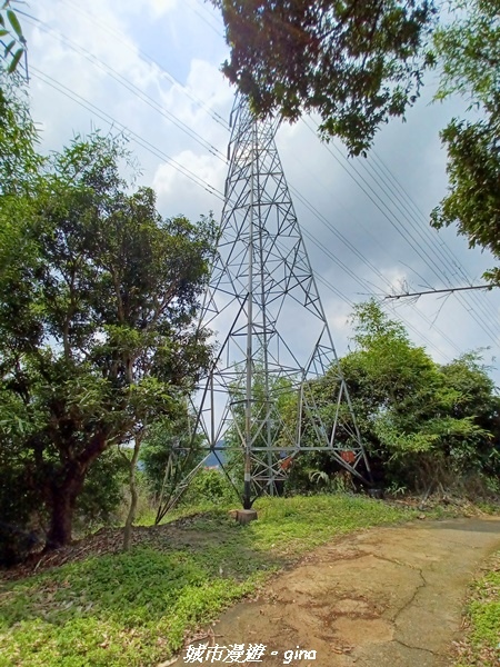 20230520_125359.jpg 20230520_125359.jpg