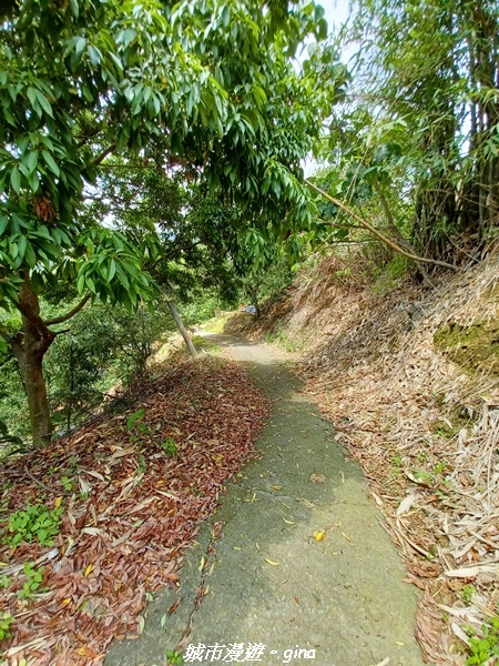 20230520_125439.jpg 20230520_125439.jpg