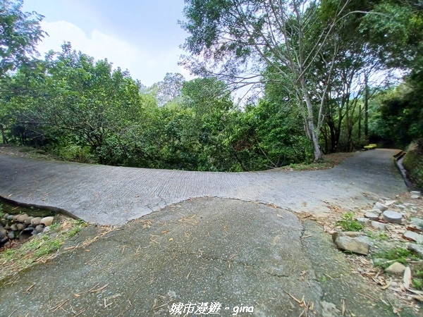 20230520_125654.jpg 20230520_125654.jpg