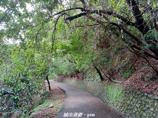 20230520_125907.jpg 20230520_125907.jpg