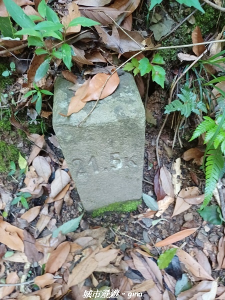 20230527_101918.jpg