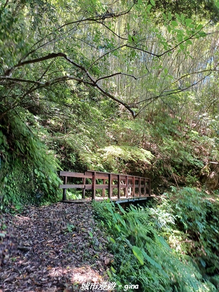 20230527_104817.jpg