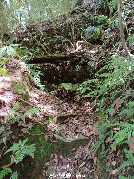 20230527_105706.jpg