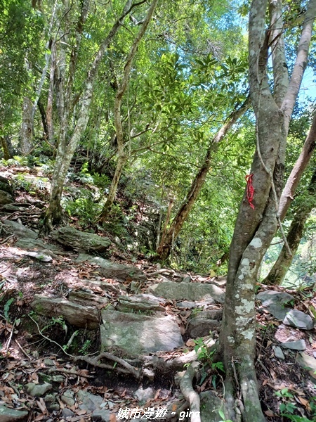 20230527_133205.jpg