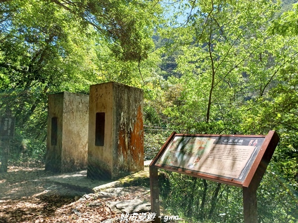 20230527_135418.jpg