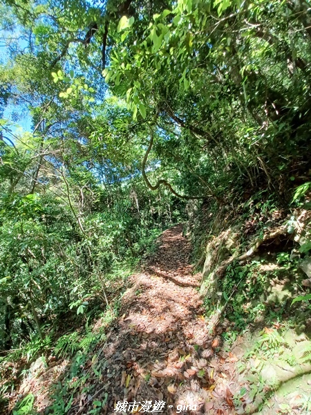 20230527_143410.jpg