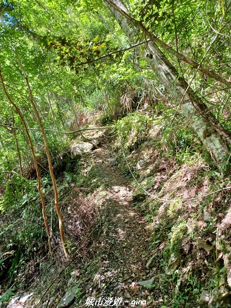 20230527_141701.jpg