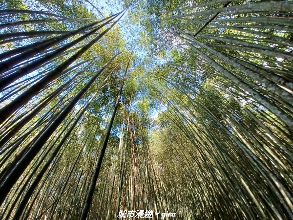 20230527_152302.jpg