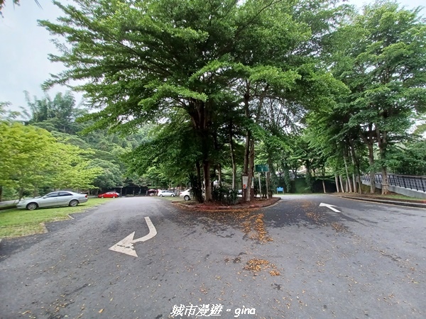 20230603_093502.jpg 20230603_093502.jpg