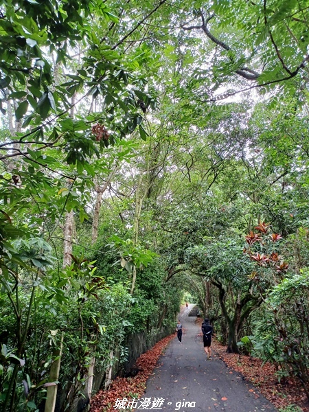 20230603_095634.jpg 20230603_095634.jpg