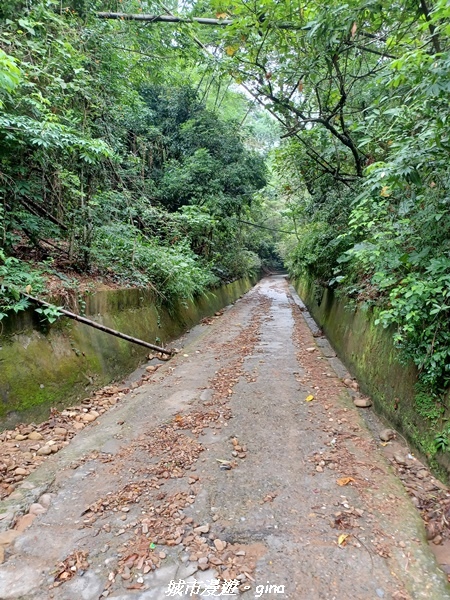 20230603_095635.jpg 20230603_095635.jpg