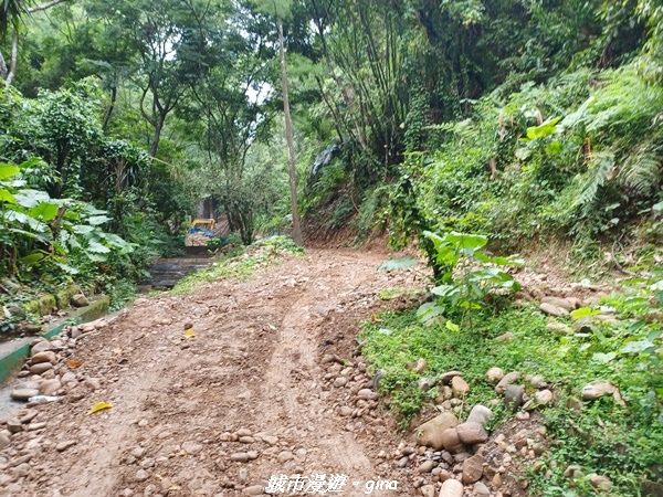 20230603_095636.jpg 20230603_095636.jpg