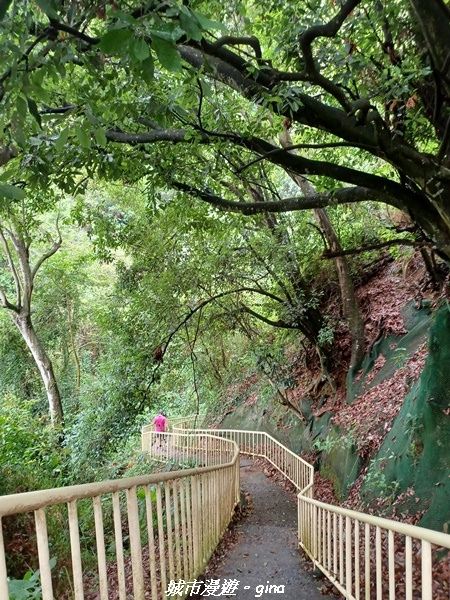 20230603_101743.jpg 20230603_101743.jpg