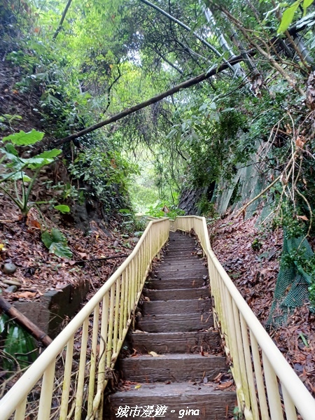 20230603_101230.jpg 20230603_101230.jpg