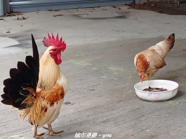 20230603_113655.jpg 20230603_113655.jpg