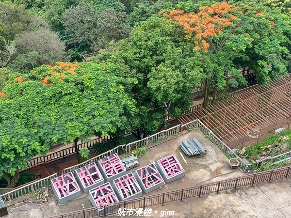 20230603_112337.jpg 20230603_112337.jpg