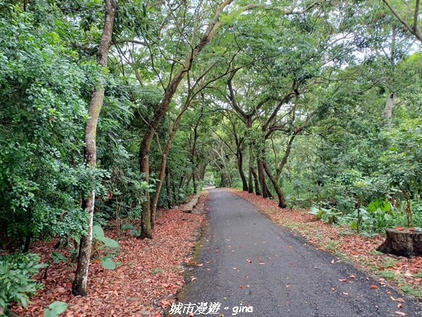 20230603_120102.jpg 20230603_120102.jpg