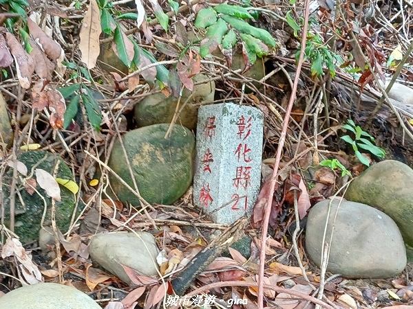 20230603_121535.jpg 20230603_121535.jpg