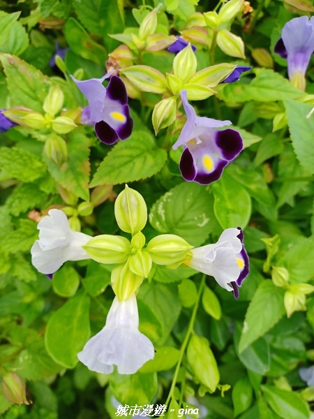 20230603_145714.jpg 20230603_145714.jpg