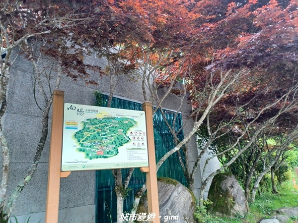 20230609_131209.jpg 20230609_131209.jpg