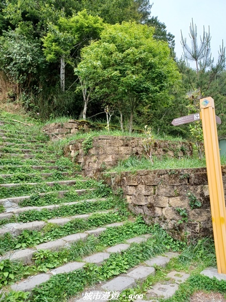 20230609_133011.jpg 20230609_133011.jpg