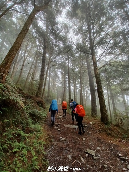 20230609_134151.jpg 20230609_134151.jpg