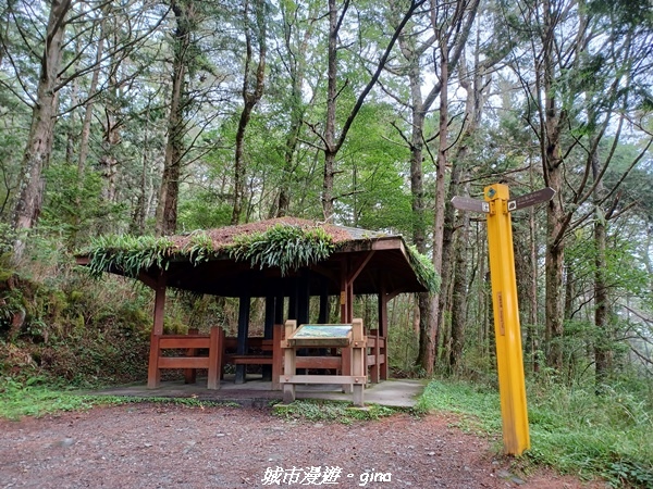 20230609_135102.jpg 20230609_135102.jpg